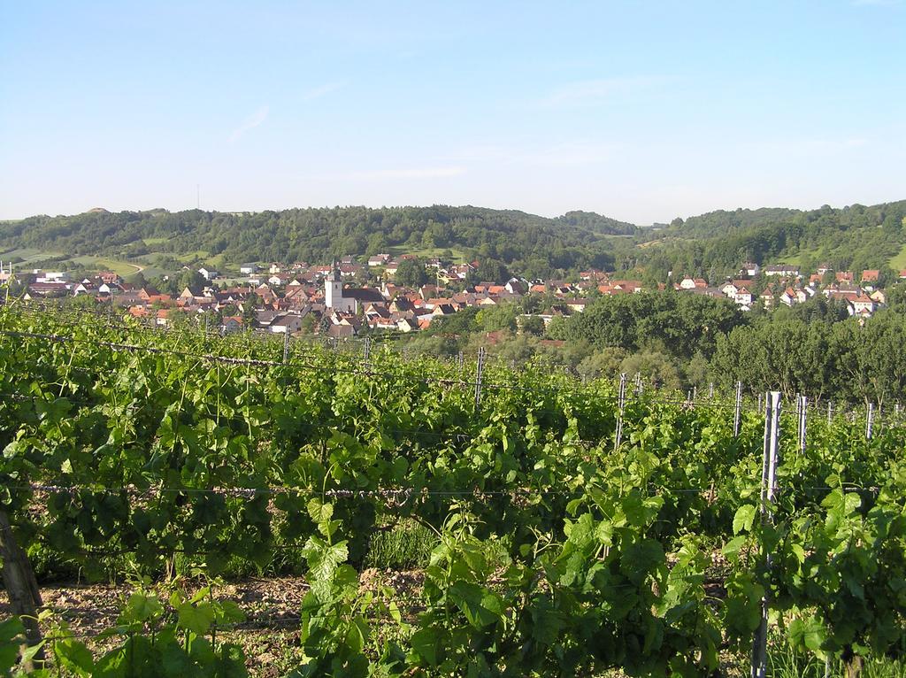 Ferienwohnung Am Alten Berg Ochsenfurt Zewnętrze zdjęcie