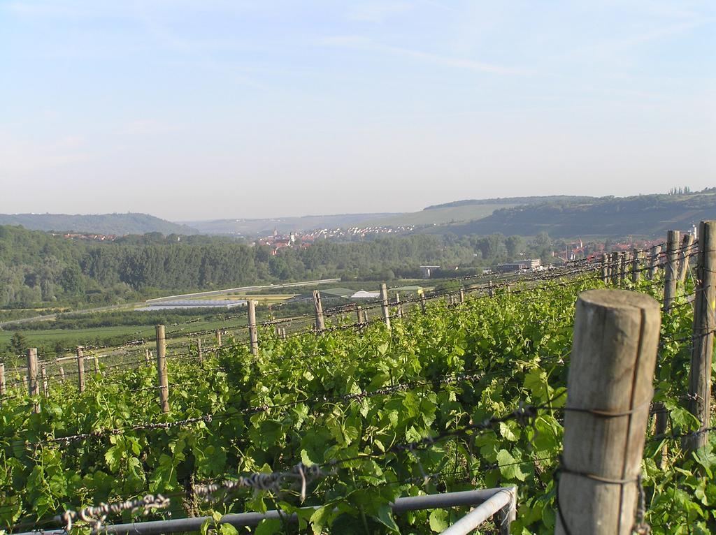 Ferienwohnung Am Alten Berg Ochsenfurt Zewnętrze zdjęcie
