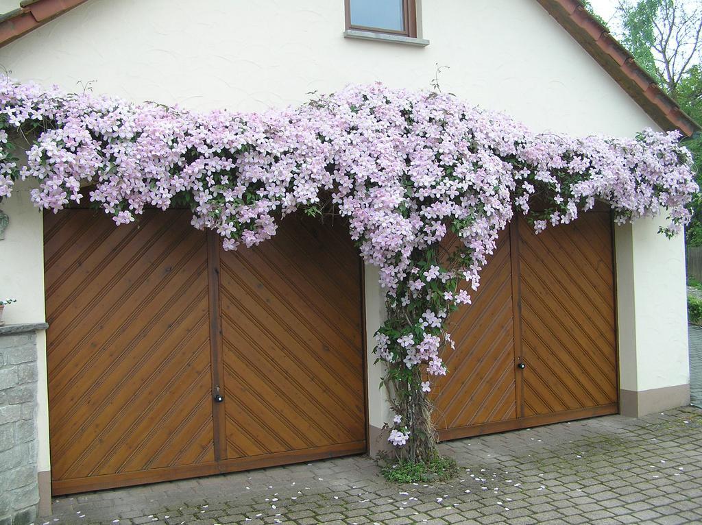 Ferienwohnung Am Alten Berg Ochsenfurt Zewnętrze zdjęcie